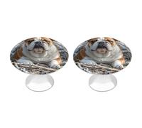 VstaDank English Bulldogs Cabinet Knob 2 Pack Round Drawer Pull Kitchen Cabinet Hardware Stainless Steel Dresser Drawer Knob Simple Cabinet Pull for Dresser Closet Door Knobs Cupboard