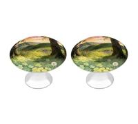 VstaDank Everything Grows Cabinet Knob 2 Pack Round Drawer Pull Kitchen Cabinet Hardware Stainless Steel Dresser Drawer Knob Simple Cabinet Pull for Dresser Closet Door Knobs Cupboard