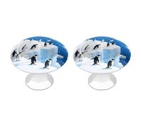 VstaDank Glacier Penguins Drawer Pulls Round Cabinet Knobs Modern Stainless Steel Door Handle Sturdy Cabinet Handles Closet Door Pulls Drawer Knobs for Most Furniture Pull 2pcs