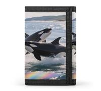 VstaDank Killer Whale Wallet Wallets Credit Card Holder Slim Minimalist Wallets with Zipper Thin Purse Trifold Wallet
