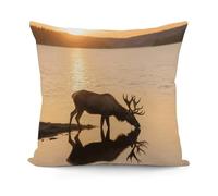 VstaDank Landscape Moose in The River Pillow Cover with Invisible Zipper Square Throw Pillowcase Plush Couch Sofa Pillow Case 18x18 Inch Decorative Throw Cushion Covers for Sofa Living Pillowcover