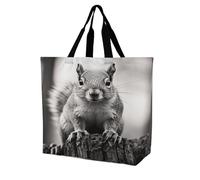 VstaDank Light Gray Squirrel Grocery Bag Reusable Shopping Bag Washable Collapsible Tote Large Capacity Shopping Tote Fashion Market Shopper Bags for Supermarket Camping Traveling
