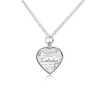 VstaDank Math Geometry G alculus Urn Necklace for Ashes Personalized Pet Cremation Jewelry for Ashes Pendant Heart Urn Necklace Memorial Keepsake Jewelry for Pet Dog Cat Ashes Necklace