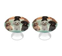 VstaDank Poodles Dogs Drawer Pulls Sturdy Stainless Steel Door Handle Round Cabinet Knobs Fashion Dresser Drawer Knobs Door Pulls Exquisite Cabinet Handles Furniture Pull 2pcs