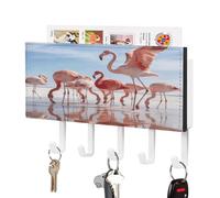 VstaDank Salt Marsh Fireball Key Holder for Wall Decorative Mail Organizer Wall Mount Key Hanger Easy Installation Key Rack with Self-Adhesive Paper 5 Key Hook for Door Hallway Home Decor