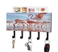 VstaDank Salt Marsh Fireball Key Holder for Wall Decorative Mail Organizer Wall Mount Key Hanger Easy Installation Key Rack with Self-Adhesive Paper 5 Key Hook for Door Hallway Home Decor