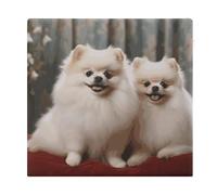 VstaDank Short-haired Pomeranian Dog Seat Cushion Non-Slip Removable Square Chair Cushion Luxury Comfort Seat Pads Memory Foam Dining Chair Pads Soft Floor Cushions for Home Office Car 14"x15"