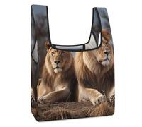 VstaDank Sturdy Reusable Two Lions Grocery Bags Large Collapsible Tote Bag Packable Collapsible Compact Shopping Bags Cute Cloth Storage for Market Holiday