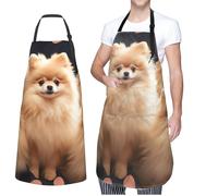 VTCTOASY Adjustable Apron with 2 Pocket Apron for Women Men Winter Bird on Branch Bib Chef Aprons for Cooking, Pomeranians Puppies, One Size