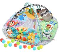 Vtech Baby 7-in-1 Grow with Baby Sensory Gym 2.43kg
