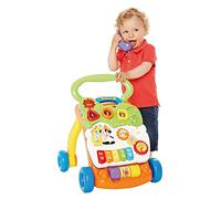 VTech Baby 80-077064 Play and Walker Normal Packaging Multi-Coloured Green/Orange