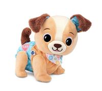 VTech Baby Explore and Move with Walking Puppy Plush Toy