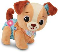 VTech Baby Walk & Wag Puppy, Interactive Musical Toy, Promotes Sensory Development, Language Development, Motor Skills, Suitable for Ages 9, 12, 18 Months Plus, English Version