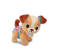 VTech Baby Walk & Wag Puppy, Interactive Musical Toy, Promotes Sensory Development, Language Development, Motor Skills, Suitable for Ages 9, 12, 18 Months Plus, English Version