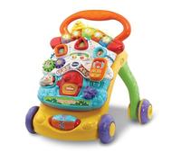 VTech Baby Walker - Educational Games (Multicoloured, Boy/Girl, 0.75 Years, 3 Years, Dutch, Plastic)