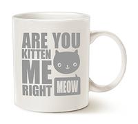 VTmaio Fun 11-Ounce Funny Cat Coffee Mugs, Fun Are You Kitten Me Right Meow Best Cat Lover Gifts Cute Cup, Style-5249, MUG-11OZ