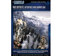 Vue 101: Fundamentals [DVD] [Region 1] [US Import] [NTSC]