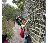 VUIKLCty Climbing Net For Toddlers And Adults, Playground Net, Plant Support Net, Climbing Equipment(3 * 5m(9.9 * 15.15ft))