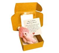 VUKHWX Little Bear in Box, Handmade Mini Plush Bear in Box with Mini Plush with Inspirational Card, Sympathy Gift for Christmas and Valentine's Day & Mother's Day, Desk Accessories (A1)