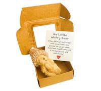 VUKHWX Little Bear in Box, Handmade Mini Plush Bear in Box with Mini Plush with Inspirational Card, Sympathy Gift for Christmas and Valentine's Day & Mother's Day, Desk Accessories (C)