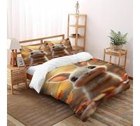 VulcanTrade The Rabbit in The Fallen Leaves 3D Bedding Set Comforter Cover 3 Piece Luxury with 2 Pillowcases Zipper Closure for Adults(women And Kids) duvets Covers Super King(260x220cm)