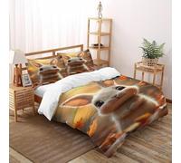VulcanTrade The Rabbit in The Fallen Leaves Duvet Cover 3d Duvet Cover Set with 3 Pieces Luxury with 2 Pillowcases Zipper Closure for Adults(women And Kids) duvets Covers King(220x240cm)