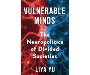 Vulnerable Minds: The Neuropolitics of Divided Societies