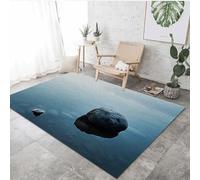 VULORA Stone Rug 3D, Zen Nature Area Rug 120x180cm Non-Slip Washable Living Room Carpet Soft Floor Mat for Bedroom Dining Room Kitchen Entryway Hallway Parties Home Decor 2Q2503