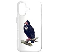 Vulture Bird For Birdwatchers Case for iPhone 17