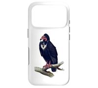 Vulture Bird For Birdwatchers Case for iPhone 17 Pro