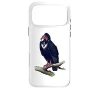 Vulture Bird For Birdwatchers Case for iPhone 17 Pro Max