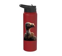Vulture Bird of Prey I Love Vultures Cute Vulture Stainless Steel Insulated Water Bottle