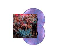 Vulvodynia - Praenuntius Infiniti Bubblegum - Colored 2 Vinyl