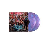 Vulvodynia – Praenuntius Infiniti – Vinyl (The Orchard)