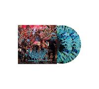 Vulvodynia - Praenuntius Infiniti [VINYL]