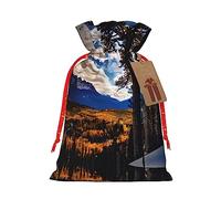 Vuoongt Rocky Mountain Range Print Christmas Bags Reusable Halloween Candy Bags with Closure Tags Drawstring