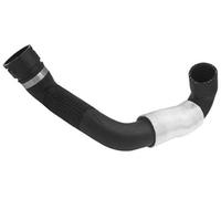 Vuzmode 11537581576 Water Pipe Connection Pump Radiator Hose Water Tank Water Pipe, for, F01 740i F02 740Li Radiator Hose