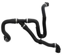 Vuzmode 17127596839 Water Tank Pipe Radiator Hose Down Pipe, for, F20F30 F35 125i 320li 328li Radiator Hose