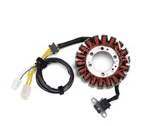 Vuzmode Motorcycle Ignition Stator Coil,for LTR450 LT-R450 LTR 450 Quad Racer 2006 2007-2011 32101-45G00 32101-45G10 32101-45G11 Bike Electronic Control Valve