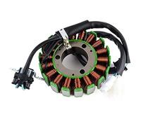 Vuzmode Motorcycle Stator Coil,for YBR250 2007-2011 YS250 YBR 250 YS D1-H1410-00 5D1-H1410-01 Generator Magneto Bike Electronic Control Valve