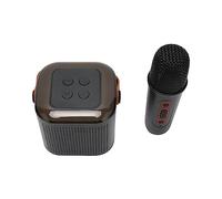 Vvikizy Karaoke Machine with RGB Lights, Portable Speaker with Mic (Black) | Compact 3.1 Inch Mini Speaker, 6W Dual Drivers, 1200mAh Battery, BT 5.3, Supports 512GB MicroSD Card