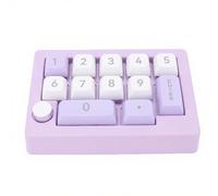 Vvikizy Mechanical Numpad, RGB Backlit 12 Key Programmable Macro Keypad with Hot Swap Joystick Knob and Type C Wired Connection, for Gaming and Work on (Purple)