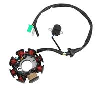 Vvikizy Replacement 8 Pole 8 Coil Magneto Stator Ignition Generator for Chinese Scooters ATV Go Kart Moped, Copper Material