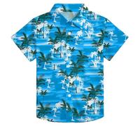 VVNTY Boys' Button-Down Hawaiian Shirt - Summer Beach Tropical Casual Short Sleeve Printed Shirt for Kids Ages 5-14 (Multicolor1,5-6 Years)