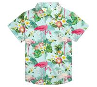 VVNTY Boys' Button-Down Hawaiian Shirt - Summer Beach Tropical Casual Short Sleeve Printed Shirt for Kids Ages 5-14 (Multicolor3,13-14 Years)