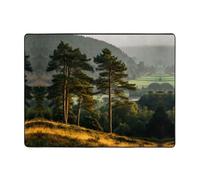 VVXBHGR Anti-slip floor mat carpet 63x48in Spruce in the Valley Prints good water absorption suitable for kitchen, bathroom and living room