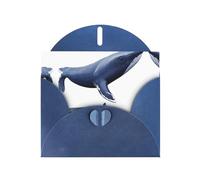 VVXBHGR Blue Holiday greeting check blank card and pearl beautiful blank note block Polar ice whale prints