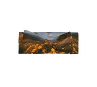 VVXBHGR Chrysanthemums on the Prairie Prints Baby Bow Headband - Soft, Skin-Friendly, and Stretchy Polyester Headband for Infants 0-6 Months