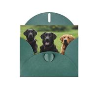 VVXBHGR Dark Green Holiday greeting check blank card and pearl beautiful blank note block labrador retriever Dogs prints