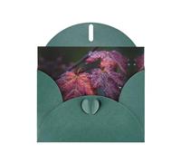 VVXBHGR Dark Green Holiday greeting check blank card and pearl beautiful blank note block Maple leaves in the rain prints